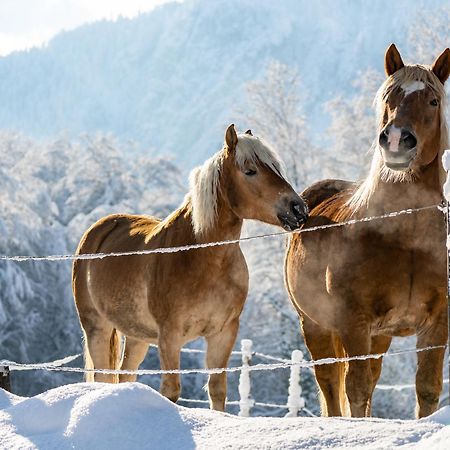 Hotel & Chalets Lampllehen Марктшелленберг Экстерьер фото